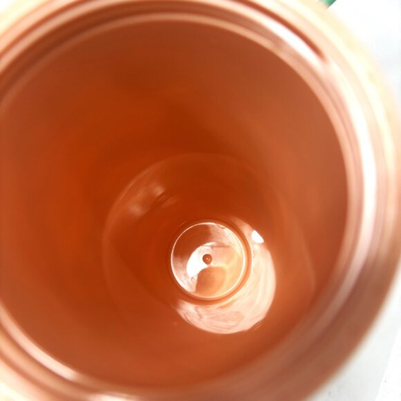 Starbucks Terracotta Tumbler Desert Cactus Cold Summer Venti 24oz - Picture 6 of 9